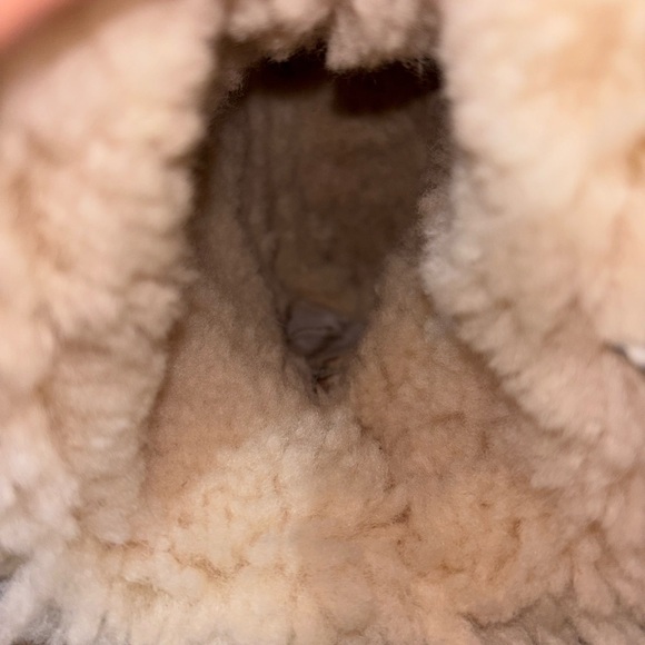 UGG Classic Short Boot Tan - Picture 8 of 8